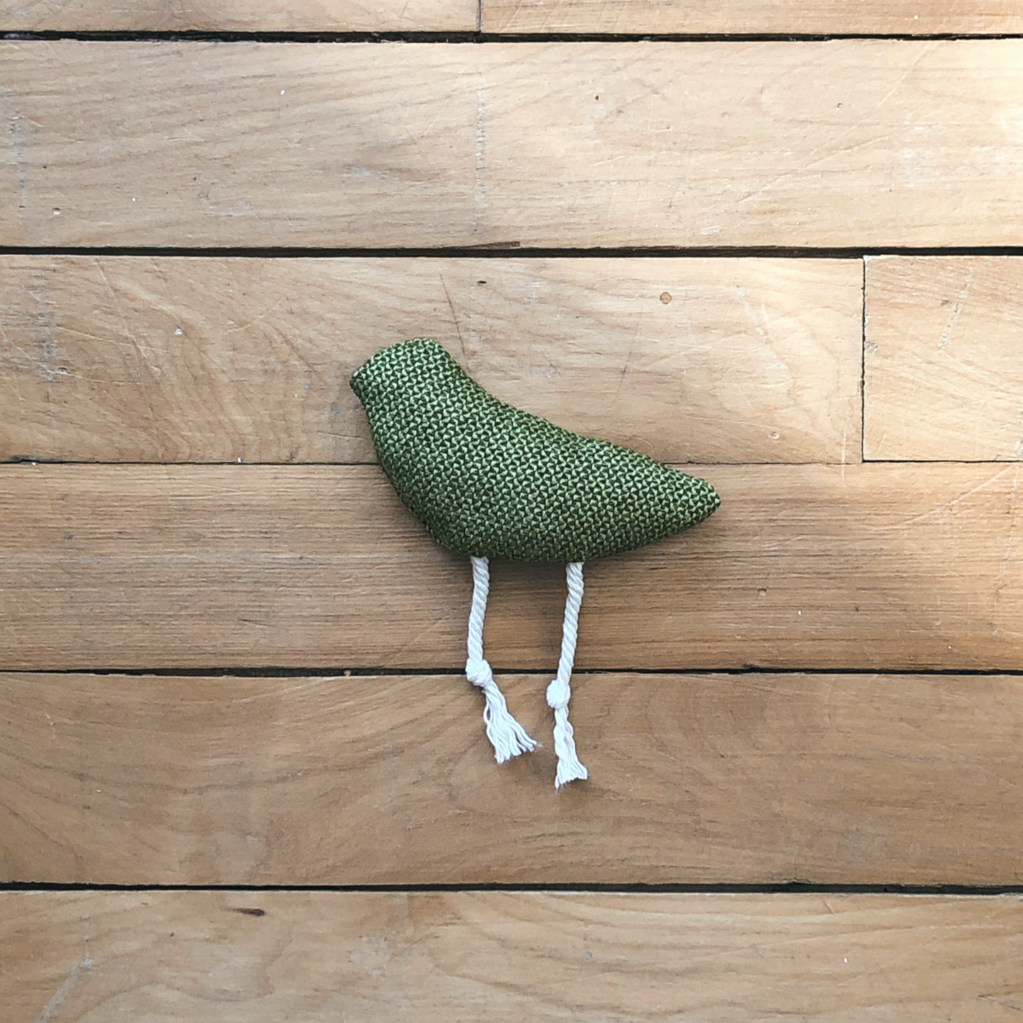 olive green bird