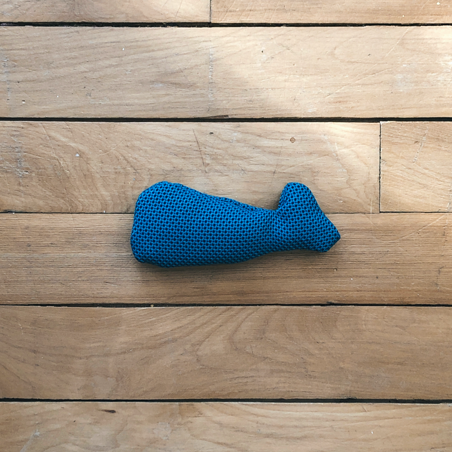 blue whale